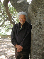 Ishmael Reed, Author