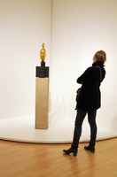 Constantin Brancusi